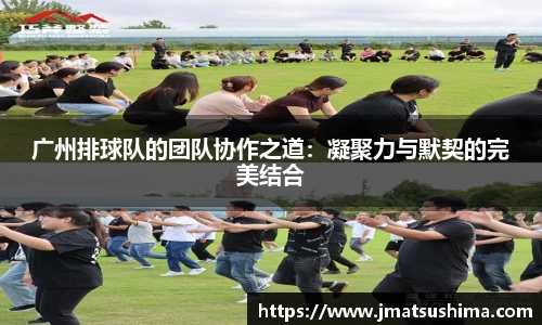 广州排球队的团队协作之道：凝聚力与默契的完美结合